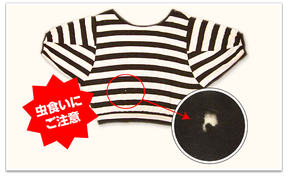 カシミヤは虫にとって大好物